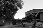 Bild vergr�ssern